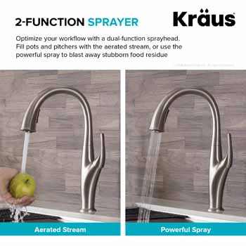 2 Function Sprayer
