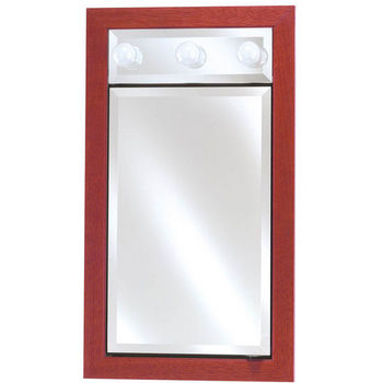 Single Door 24 x 40 Signature Collection Medicine Cabinets with Lights by Afina