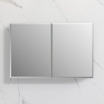 Fresca Senza 40'' Wide x 26'' Tall Modern Frameless Wall Mounted Bathroom Medicine Cabinet with 2-Doors and Beveled Edge, Anodized Aluminum, Front View