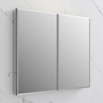 Fresca Senza 40'' Wide x 36'' Tall Modern Frameless Wall Mounted Bathroom Medicine Cabinet with 2-Doors and Beveled Edge, Anodized Aluminum, Installed Angle View