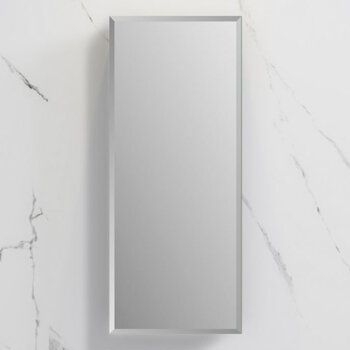 Fresca Senza 15'' Wide x 36'' Tall Modern Frameless Wall Mounted Bathroom Medicine Cabinet with Beveled Edge, Anodized Aluminum, Front View