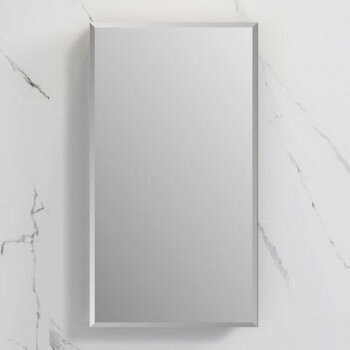 Fresca Senza 20'' Wide x 36'' Tall Modern Frameless Wall Mounted Bathroom Medicine Cabinet with Beveled Edge, Anodized Aluminum, Front View