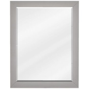 Jeffrey Alexander Cade Beveled Glass Mirror in Grey Finish, 22" W x 1" D x 28" H