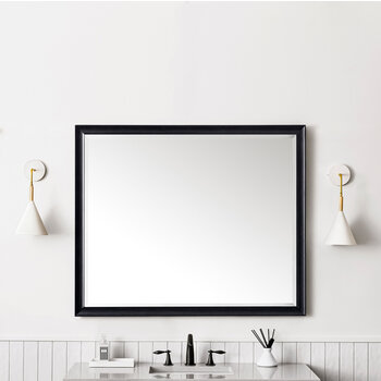 James Martin Furniture Glenbrooke 48'' W x 40'' H Wall Mounted Rectangle Mirror with Black Onyx Frame