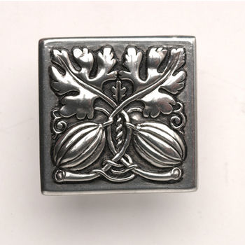 Notting Hill Kitchen Garden Collection 1-1/2'' Wide Autumn Squash Square Cabinet Knob in Brilliant Pewter, 1-1/2'' W x 7/8'' D x 1-1/2'' H