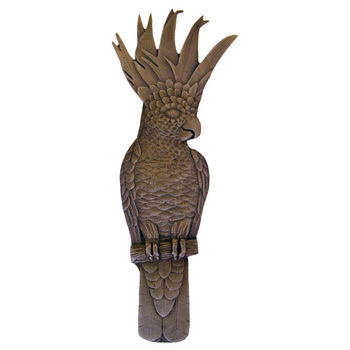 Notting Hill Tropical Collection 4-5/8'' Wide Cockatoo (Vertical - Left Side) Cabinet Pull in Dark Brass, 4-5/8'' W x 7/8'' D x 1-3/4'' H