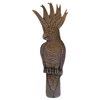 Notting Hill Tropical Collection 4-5/8'' Wide Cockatoo (Vertical - Right Side) Cabinet Pull in Dark Brass, 4-5/8'' W x 7/8'' D x 1-3/4'' H