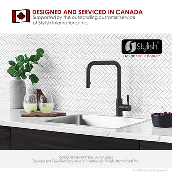Stylish International Palma Series 21'' Single Bowl Kitchen Sink, Designed in Canada