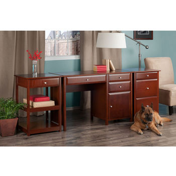 Winsome Wood Delta Collection 3-Piece Home Office Set in Walnut
